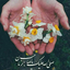 Profile picture of ‌اعظم سادات فاضل‌