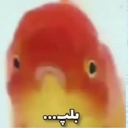 Profile picture of ‌Mahdiyeh‌
