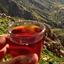 Profile picture of ‌سیدجلال سیدی‌