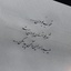 Profile picture of ‌فدائی حسین‌