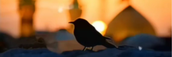 ‌آسمان هفتم‌'s header picture