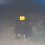 Profile picture of ‌السید جواد محمد مهدي🇱🇧‌