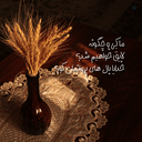 Profile picture of ‌fateme hasani‌