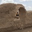 Profile picture of ‌مهدی سایش(شریف)‌