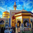 Profile picture of ‌مصطفی امیدی‌