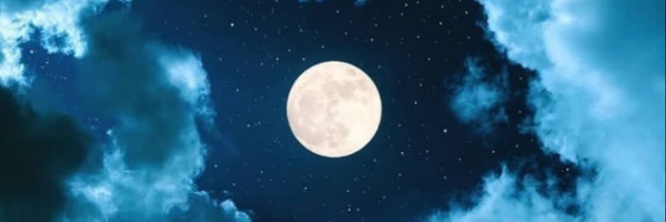 ‌• دُچار •‌'s header picture