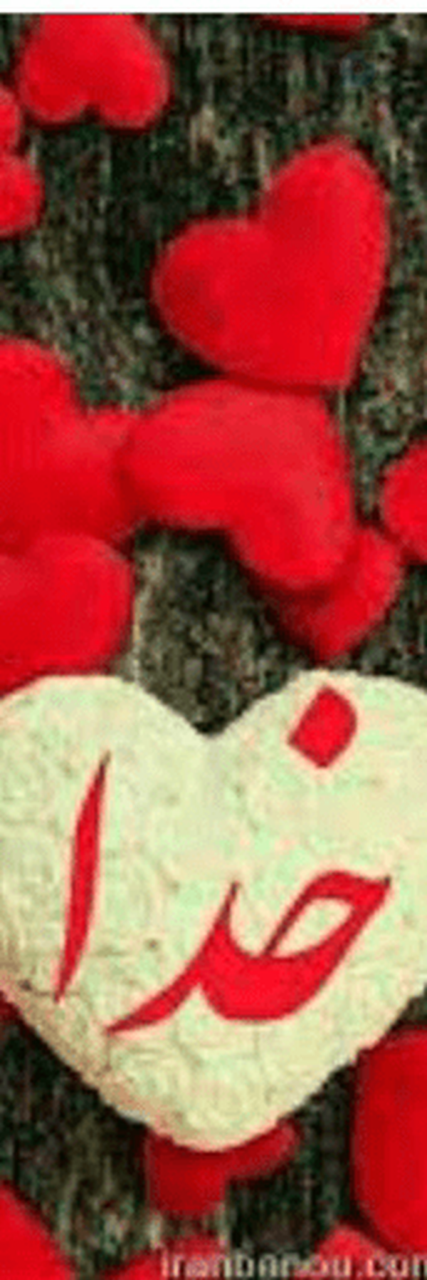 ‌Rezvane M,R‌'s header picture
