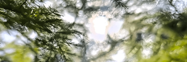 ‌مرتضی قاسمیان‌'s header picture