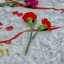 Profile picture of ‌سرباز مهدی‌