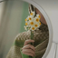 Profile picture of ‌ZNB‌