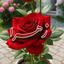 Profile picture of ‌Zahra‌