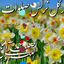 Profile picture of ‌فاطمه نظری‌