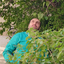 Profile picture of ‌سید محمود هدایتی‌