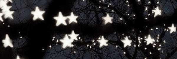 ‌Bambilu‌'s header picture