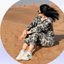 Profile picture of ‌Niloofar M‌