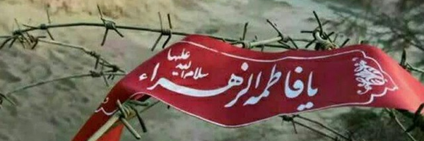 ‌پویا زینلی پور‌'s header picture