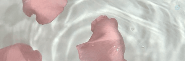 ‌𝗛𝗬𝗨𝗡‌'s header picture