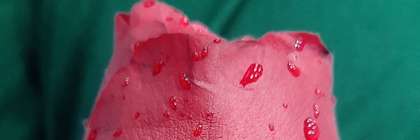 ‌عماد عروج‌'s header picture