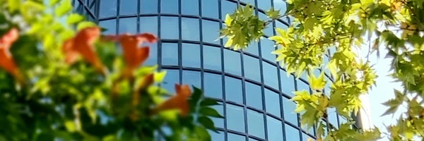 ‌تعاون، کار و رفاه اجتماعی استان تهران‌'s header picture