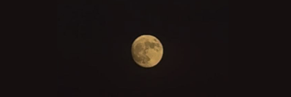 ‌Motahhareh‌'s header picture