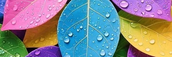 ‌پرواز‌'s header picture