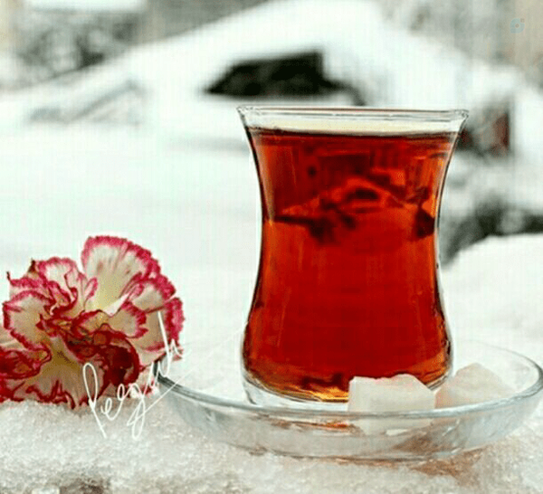 آموزش در فضای باز آموزش دف در مرتع و طبیعت با اساتید برتر اردوی آموزشی دف نوازی اردوی آموزش ساز دف قزوین
