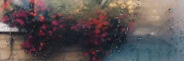 ‌﮼بُڪٰاء﮼‌'s header picture