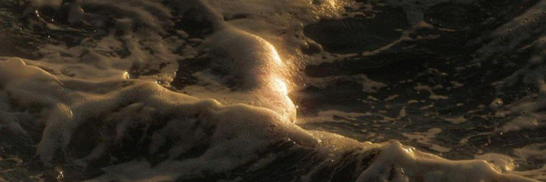‌ATEFEH‌'s header picture