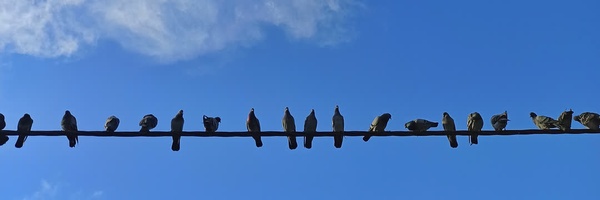 ‌میثم‌'s header picture