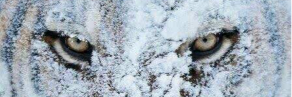 ‌** تقی پور**‌'s header picture