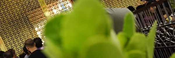 ‌❁مُحَـmmadـشونمـ❁‌'s header picture