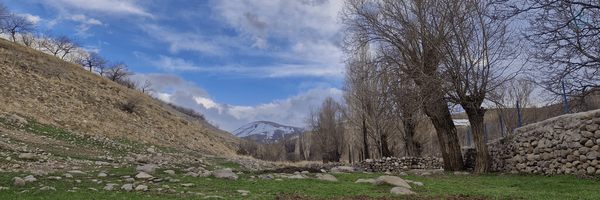‌Hadi‌'s header picture