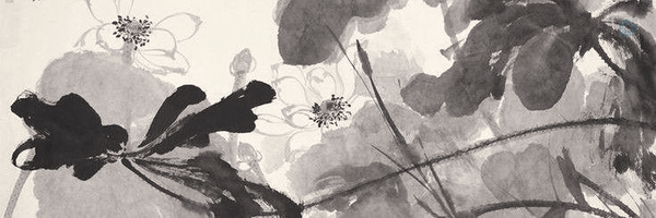 ‌lyn‌'s header picture