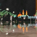 Profile picture of ‌⸤ف.میم!🌱⸣‌