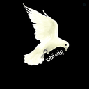 Profile picture of ‌پرنده ترین🇵🇸🇮🇷🇱🇧🇮🇶‌
