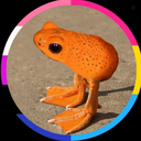 Profile picture of ‌قوردک‌