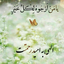 Profile picture of ‌امیر رضا‌