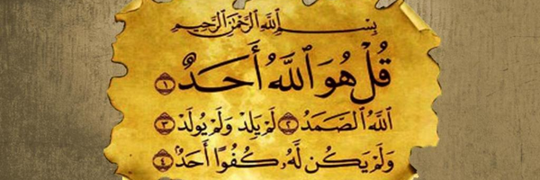 ‌tohid velaee‌'s header picture