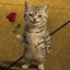 Profile picture of ‌فلفل🌹‌