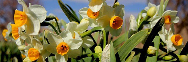 ‌امیرسبحان قره باغی‌'s header picture