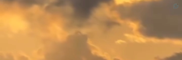 ‌eli hashemi‌'s header picture