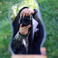 Profile picture of ‌avin'‌