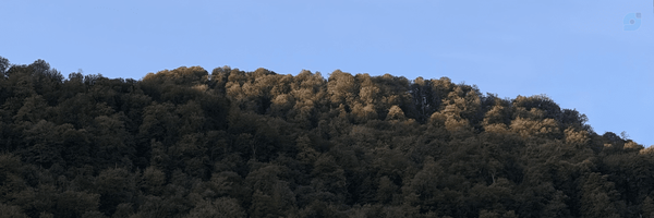 ‌Mahdi Moradi‌'s header picture