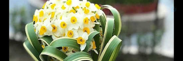 ‌Zahra Khozstan‌'s header picture