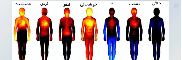 ‌Reza 3D‌'s header picture