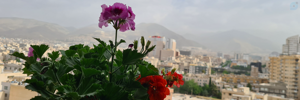‌ناصر حیدری‌'s header picture