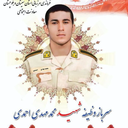 Profile picture of ‌Amir Sedavar‌