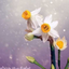 Profile picture of ‌منتظر مهدی(عج)🌱‌