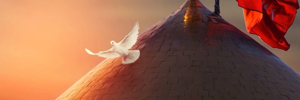 ‌محمد 🇮🇷‌'s header picture