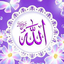 Profile picture of ‌نورعلی نور‌